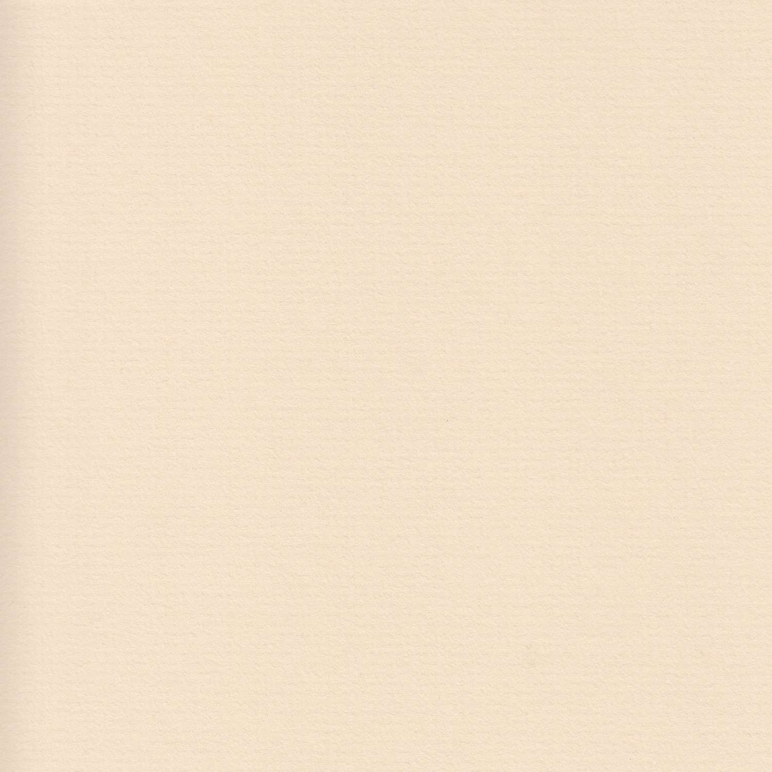 ArtToFrames Matted 13x16 White Picture Frame with 2" Mat, 9x12 Opening 3966 - Picture 436 of 489