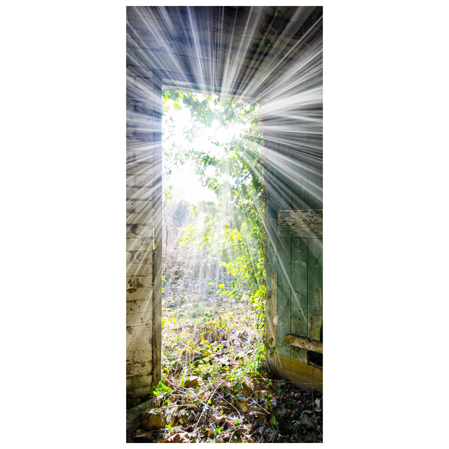 DoorPix 746 3D Door Sticker Decal Mural - Matte Bubble Free - Picture 81 of 90