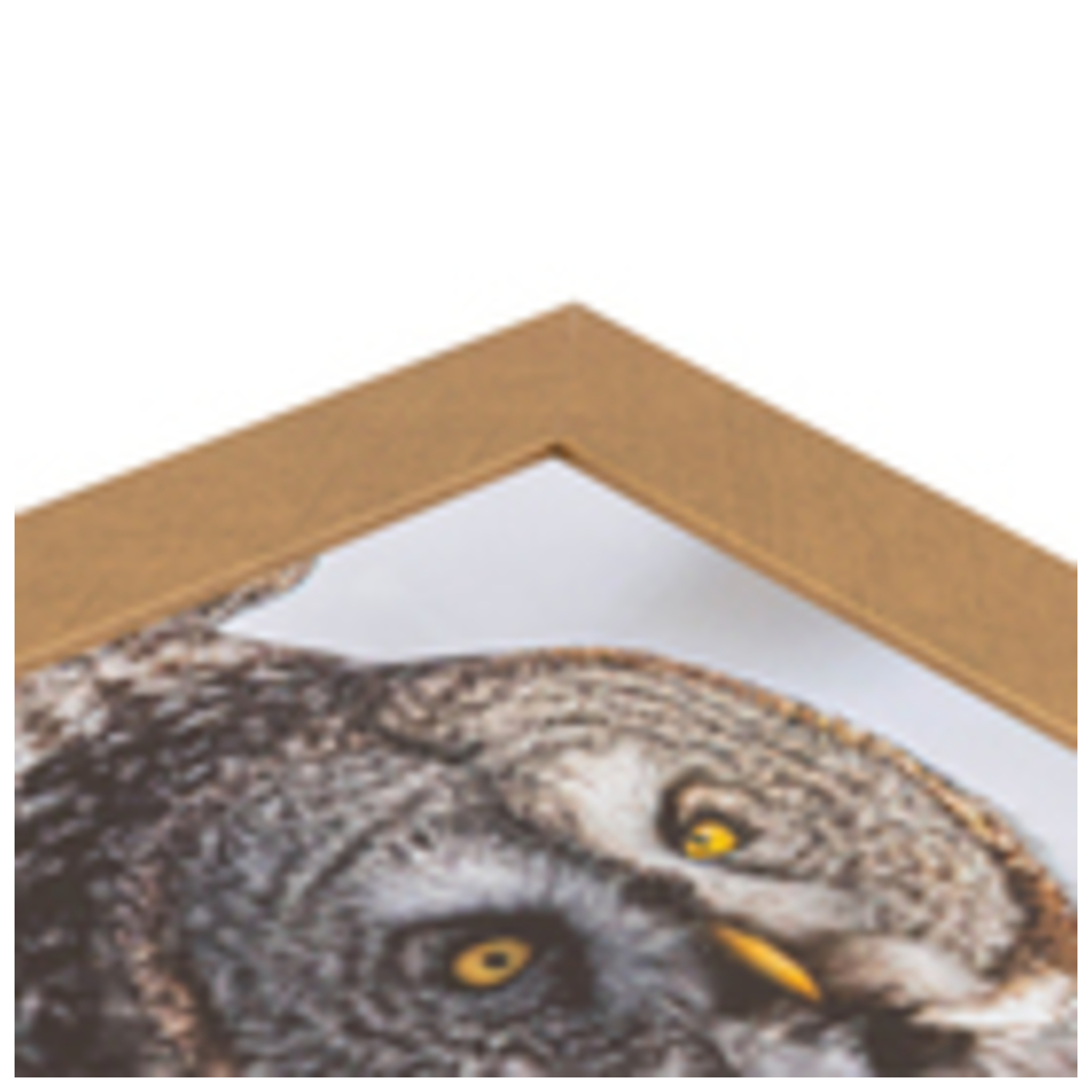 ArtToFrames 8.5 x 11" Modern Custom Picture Poster Frame 2" Wide A48RR - Picture 31 of 54