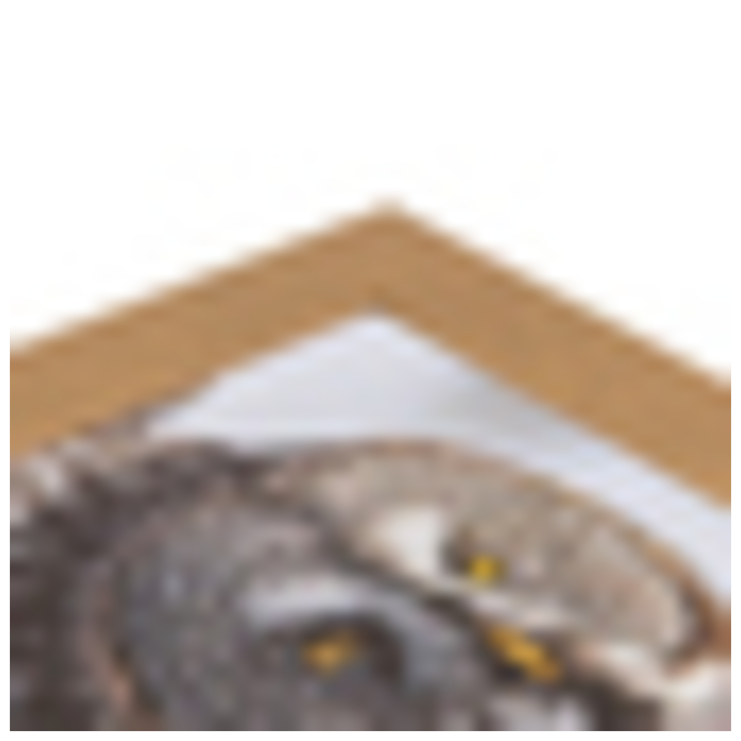 ArtToFrames 5 x 36" Modern Custom Picture Poster Frame 2" Wide A48BM - Picture 26 of 49