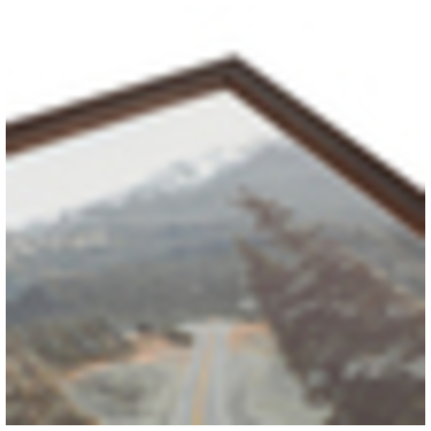 ArtToFrames Cornice Poster Quadro Personalizzata Tradizionale 20 x 28" Larghezza 1" A9PA - Foto 12 di 65