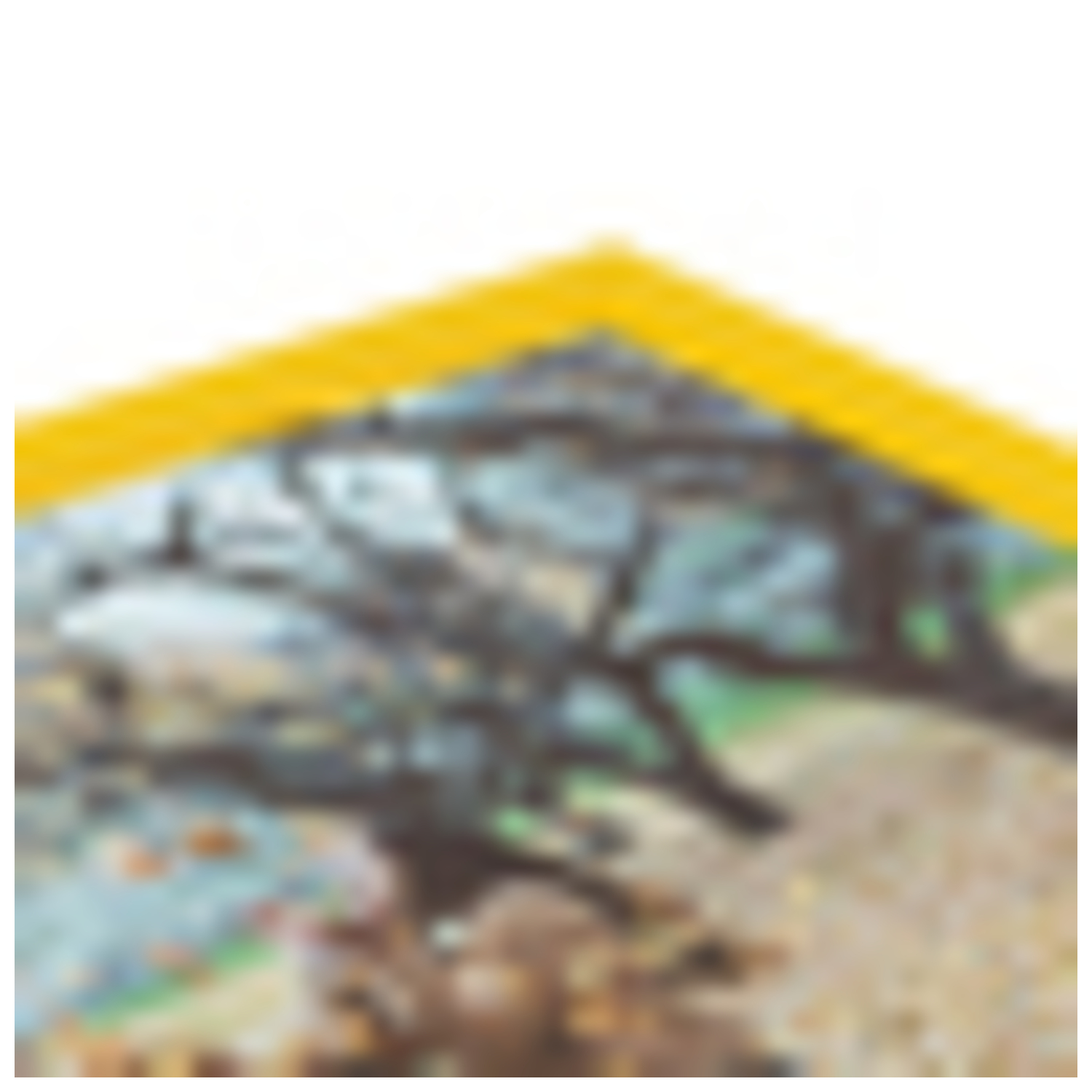 ArtToFrames 24 x 31" Traditional Custom Picture Poster Frame 1" Wide A9RJ - Picture 10 of 37