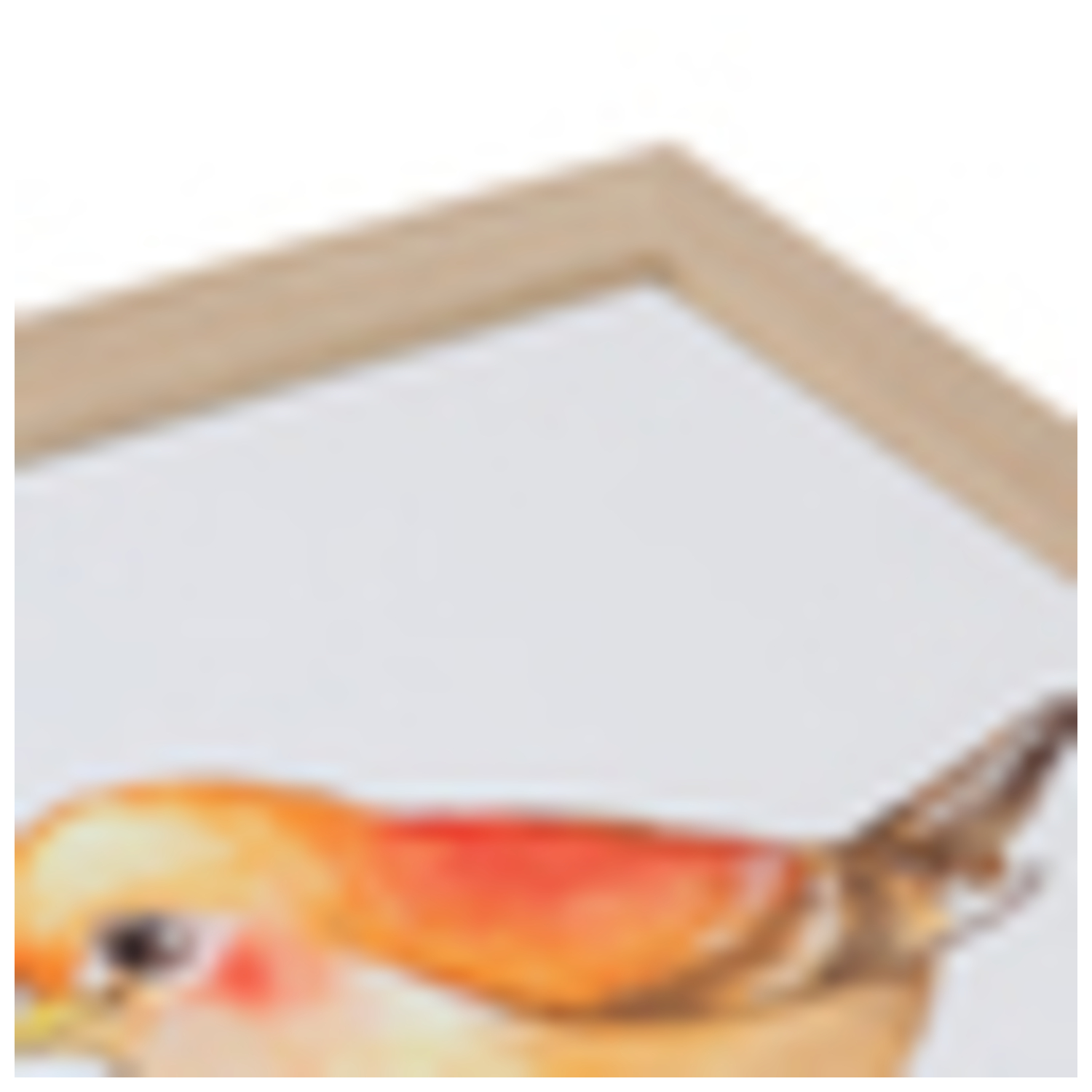 как выглядит ArtToFrames 21 x 26" Modern Custom Picture Poster Frame 1.25" Wide A46PO фото