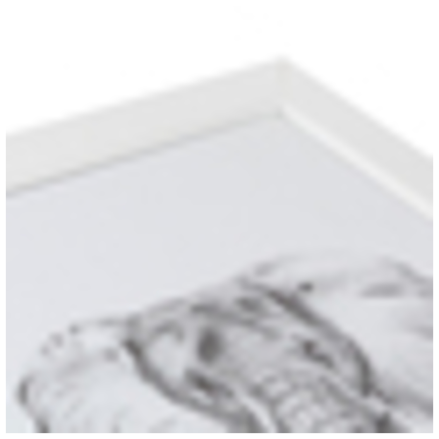 Bild 12 von 75